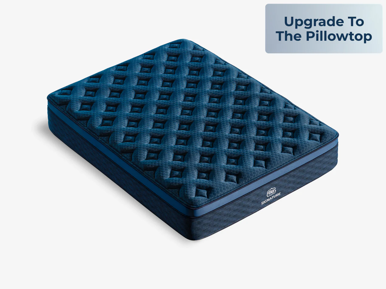 Signature Hybrid - Image 10